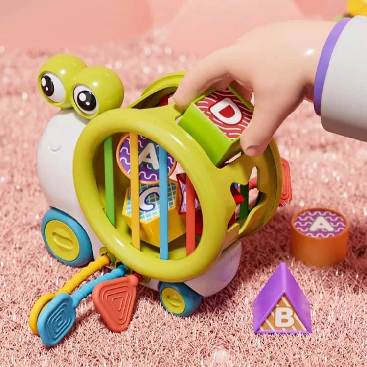 Baby Snail Shape Sorter Pull Toy